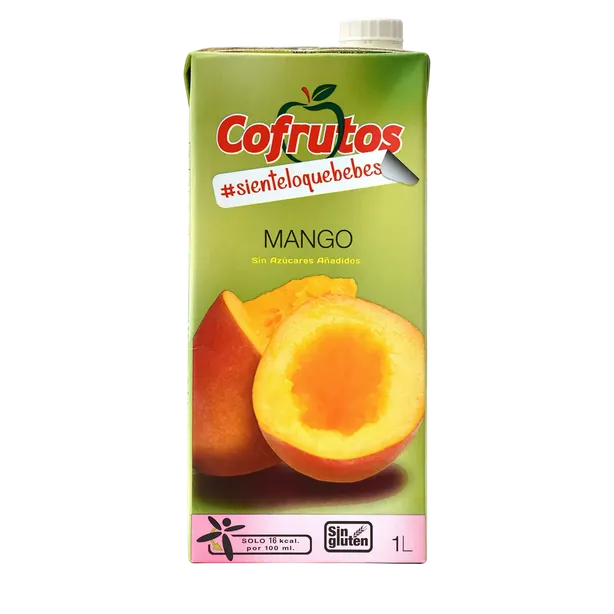 Mango Juice Drink
