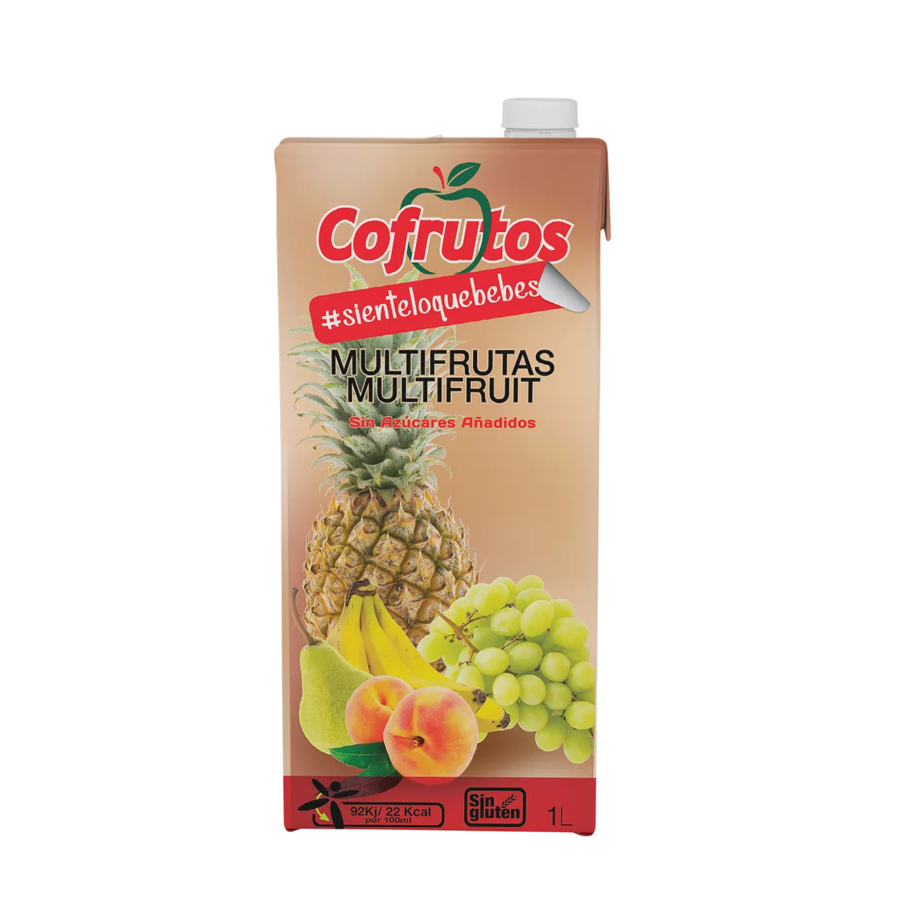 Bebida de zumo Multifrutas
